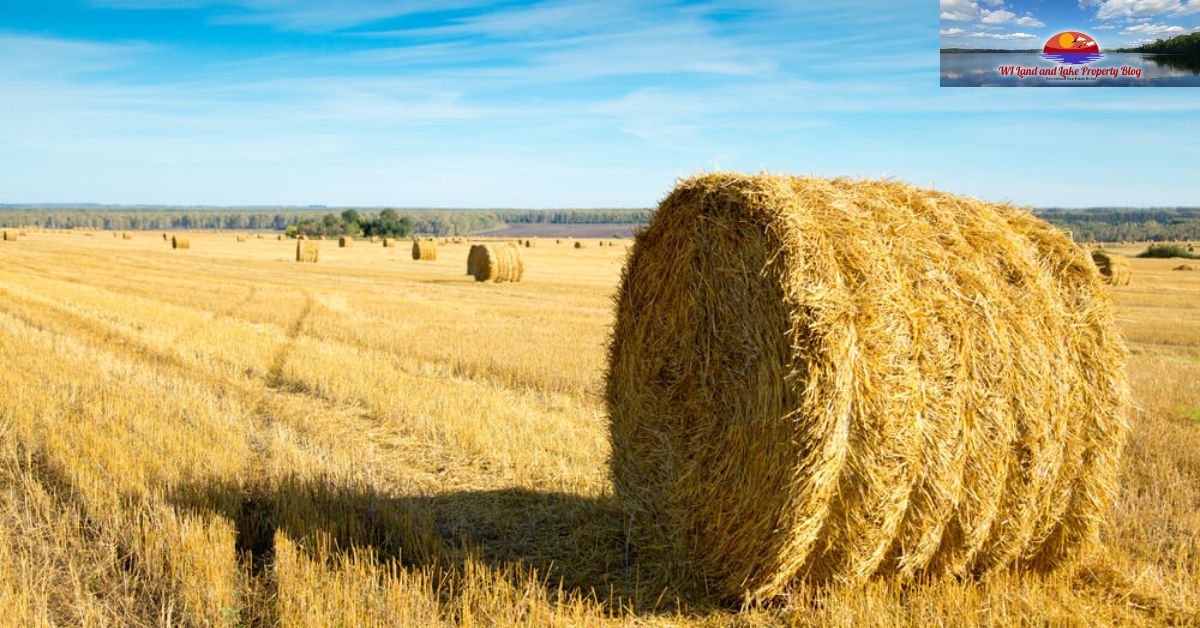 Top 5 Reasons to Consider Buildable Rural Properties for Long-Term Growth