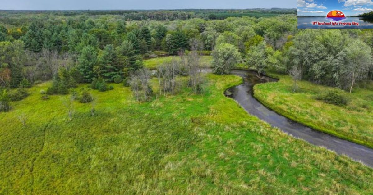 Land for Sale in Northern Wisconsin - Your Chance to Own a Piece of Nature