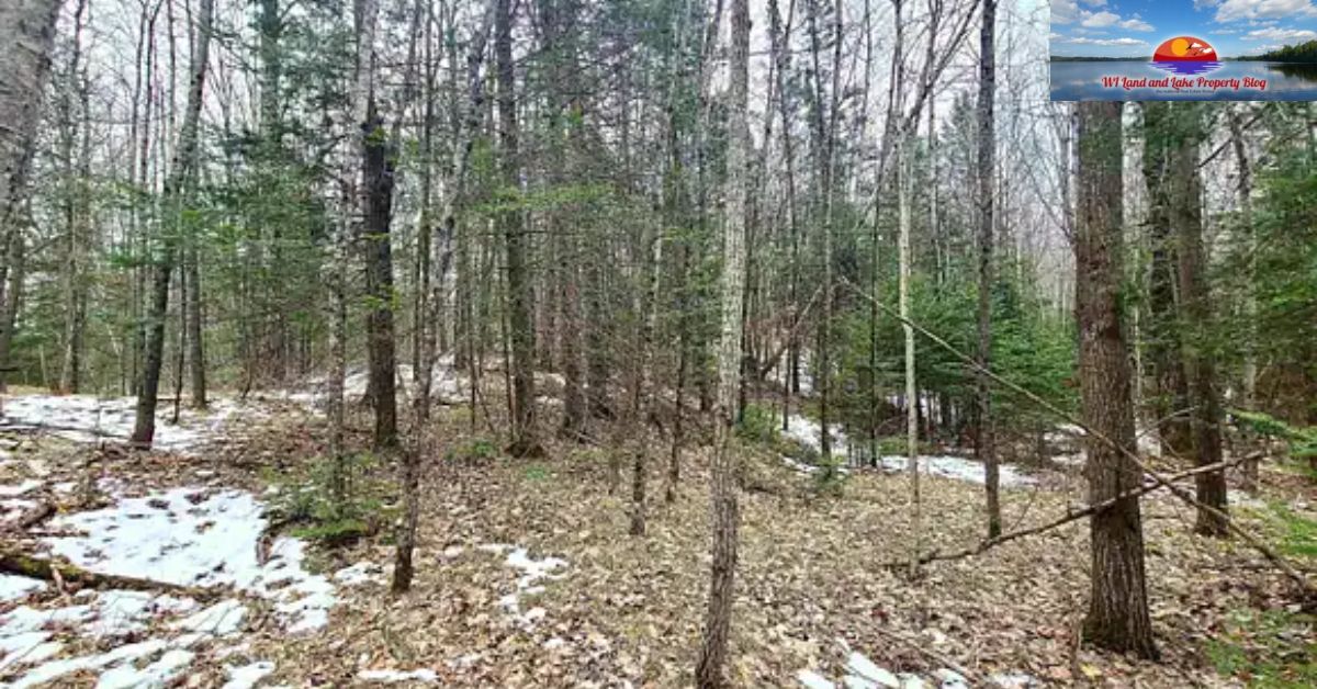 Your Dream Land Awaits: 5 Wooded Acres in Springbrook, WI, for $47,900