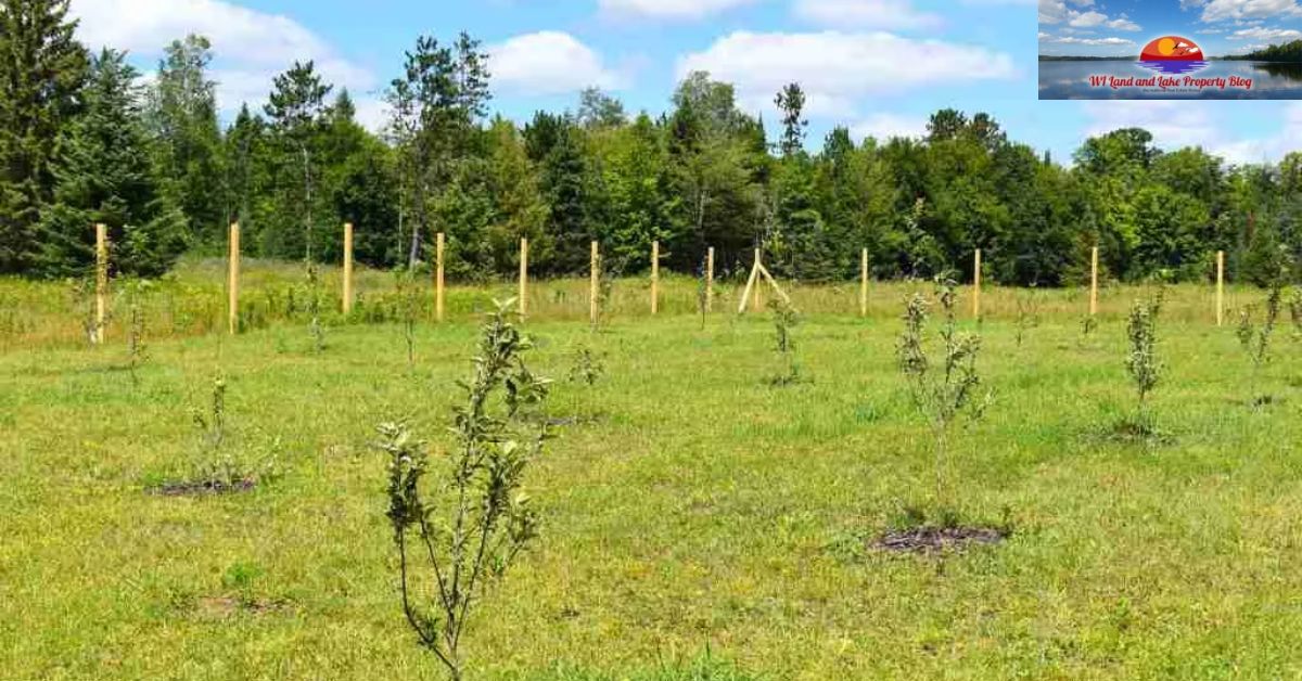 Discover the Opportunity – 15 Acres Land for Sale in Northwestern WI for $65,900