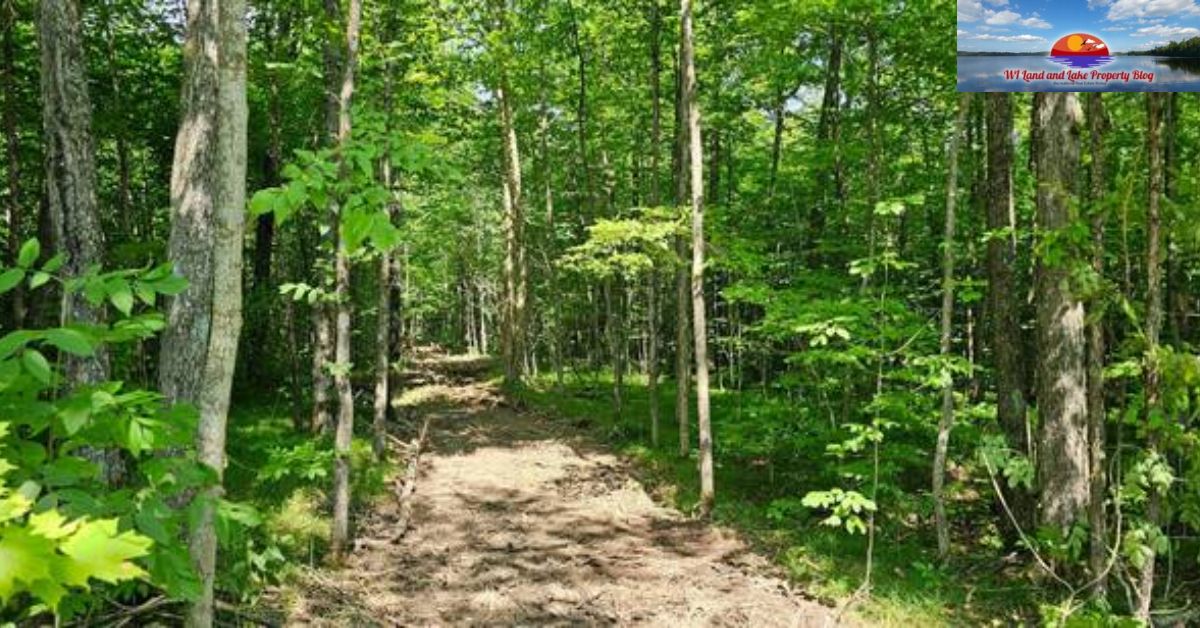 Explore the Potential of 10-Acre Land in Ashland County, WI