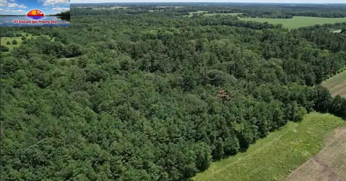 Why Northern Wisconsin is the Best Place to Find Lake Property