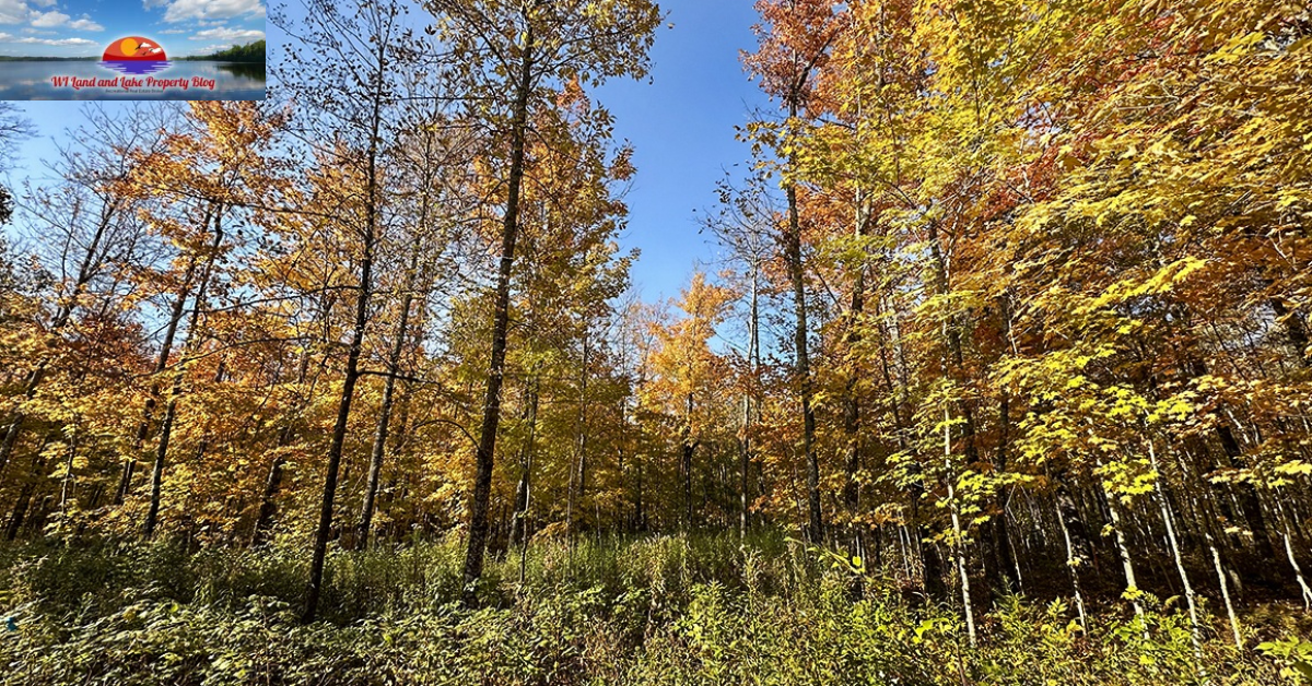 Discover the Opportunity – 15 Acres Land for Sale in Northwestern WI for $65,900