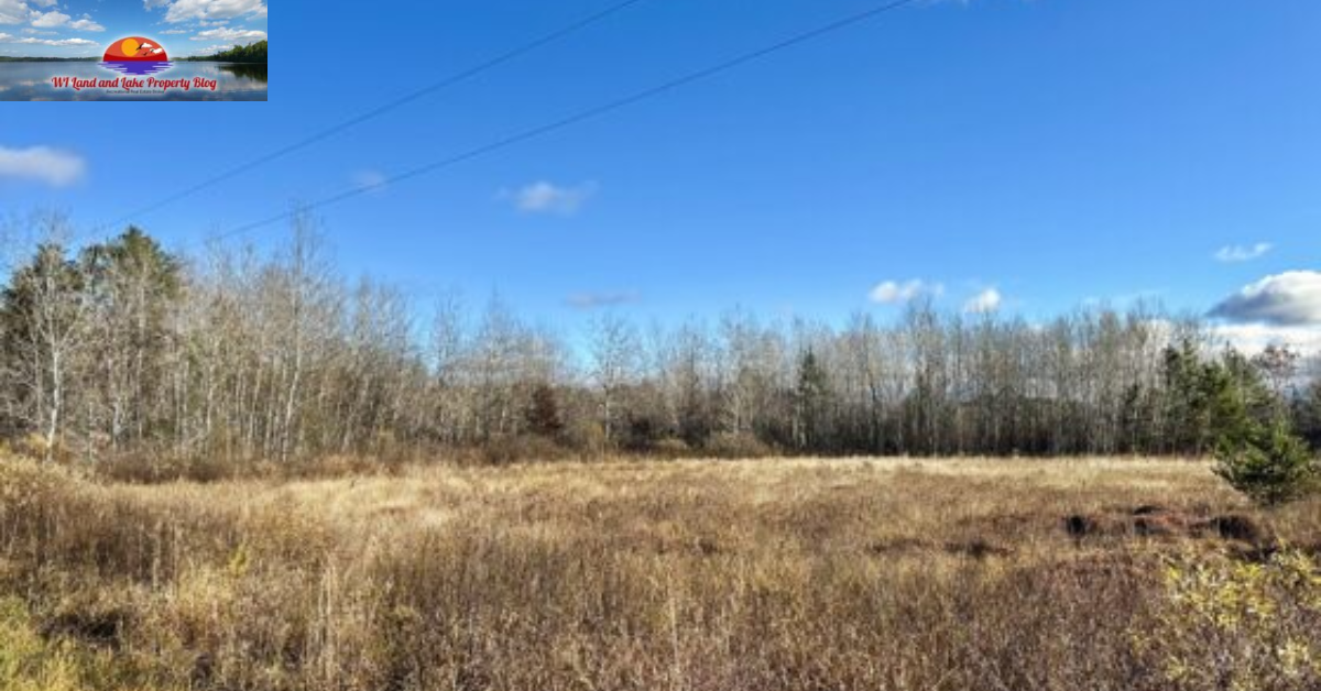 Why I Fell in Love with 5 Wooded Acres in Springbrook, WI