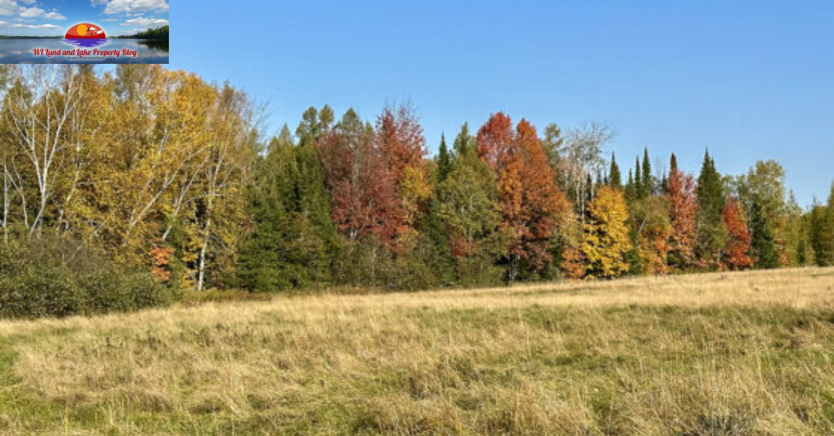 Your Dream Awaits: 15 Acres of Land for Sale in Northwestern Wisconsin – $65,900!