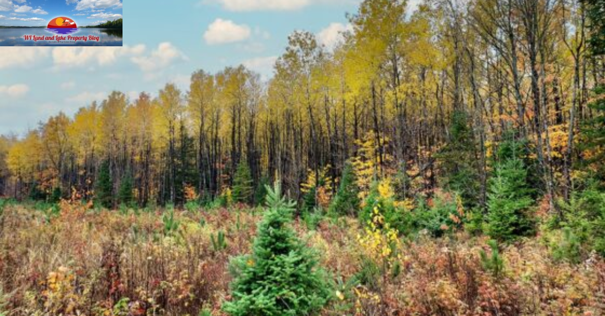 15 Acres of Opportunity: Land for Sale in Northwestern Wisconsin – $65,900!
