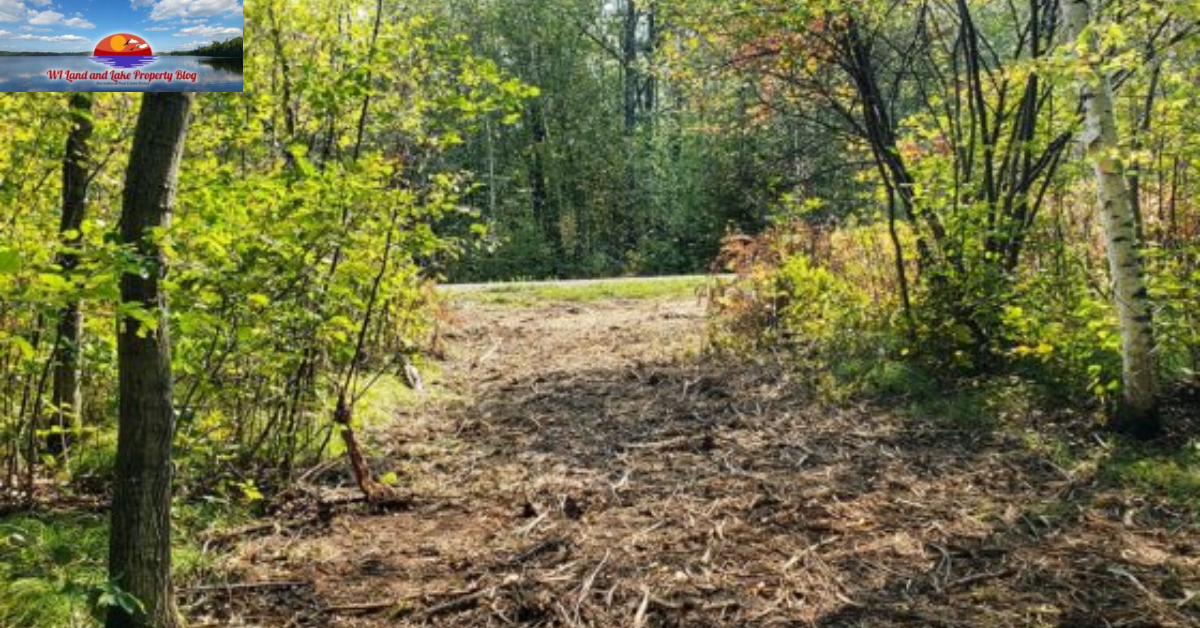 Your Dream Escape: 9.3-Acre Wooded Paradise with Hilltop Views – Just 75 Minutes from the Twin Cities for $96,900!