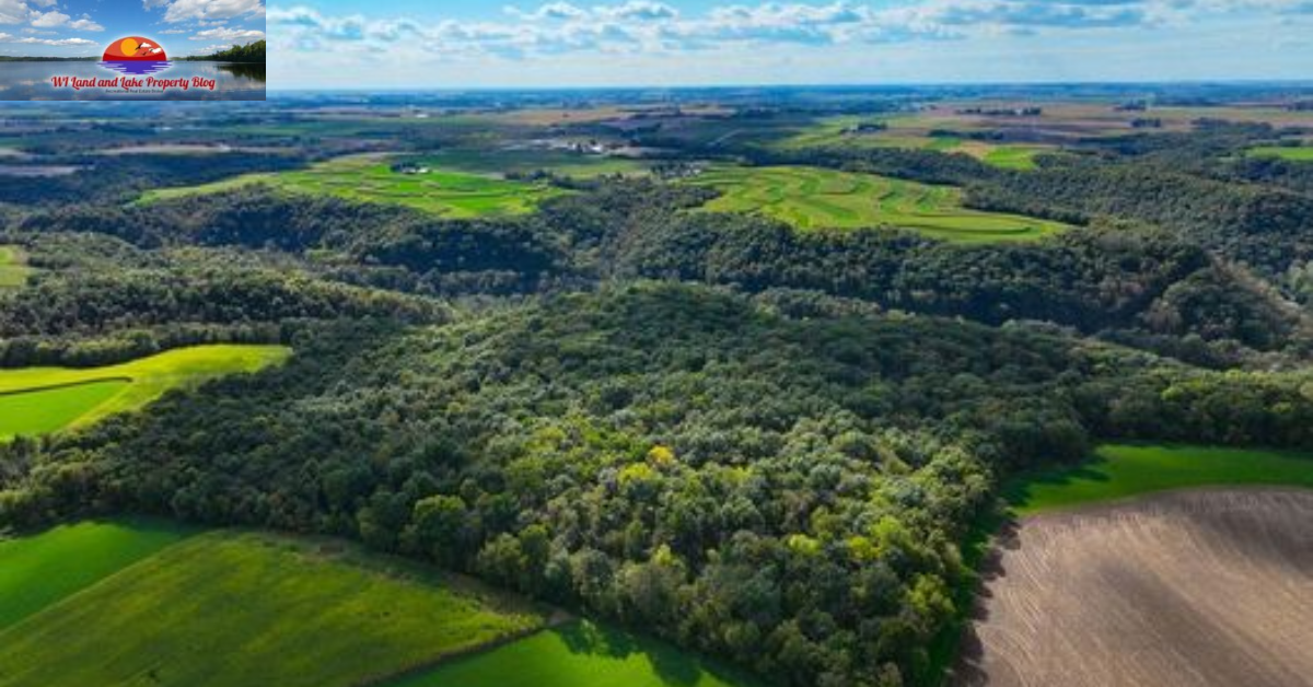 9.3-Acre Wooded Paradise | Hilltop Views – Only 75 Minutes from the Twin Cities for $96,900!