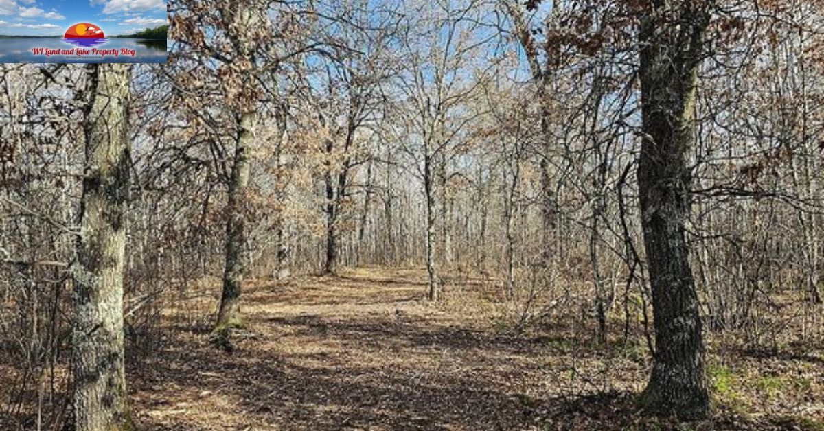 Springbrook, WI – 5 Wooded Acres for Sale! The Perfect Escape for Just $47,900