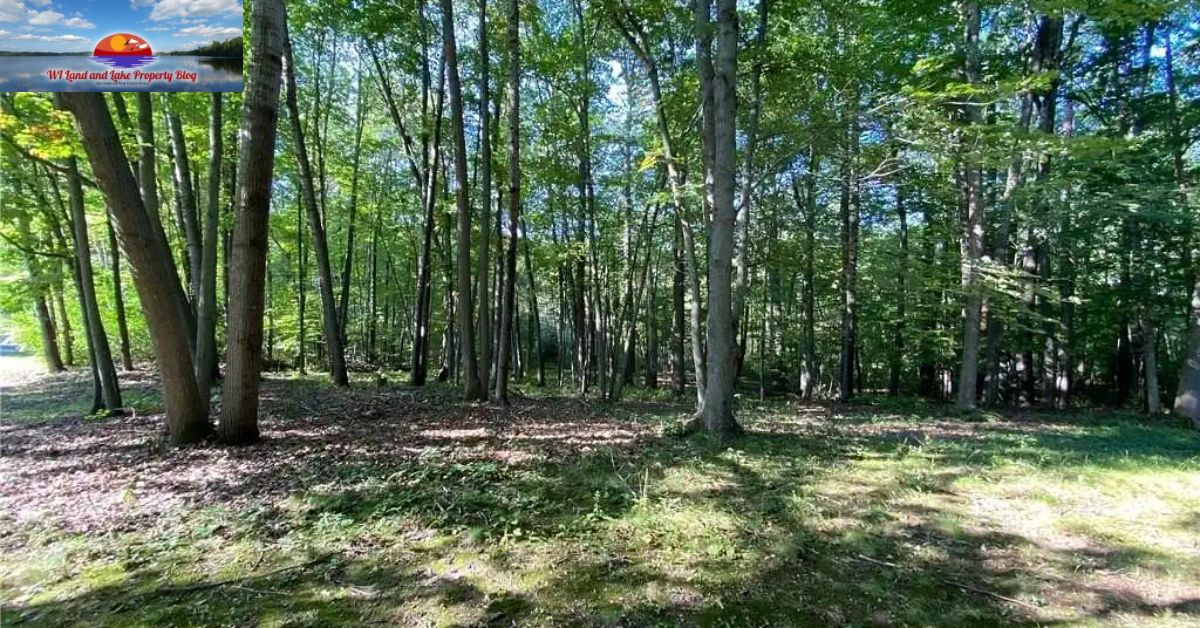 Springbrook, WI – 5 Wooded Acres For Sale! Just $47,900! A Hidden Gem in Wisconsin