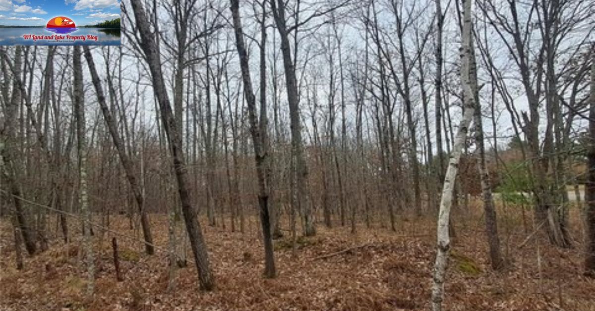 Springbrook, WI – 5 Wooded Acres For Sale! Just $47,900! Your Dream Land Awaits