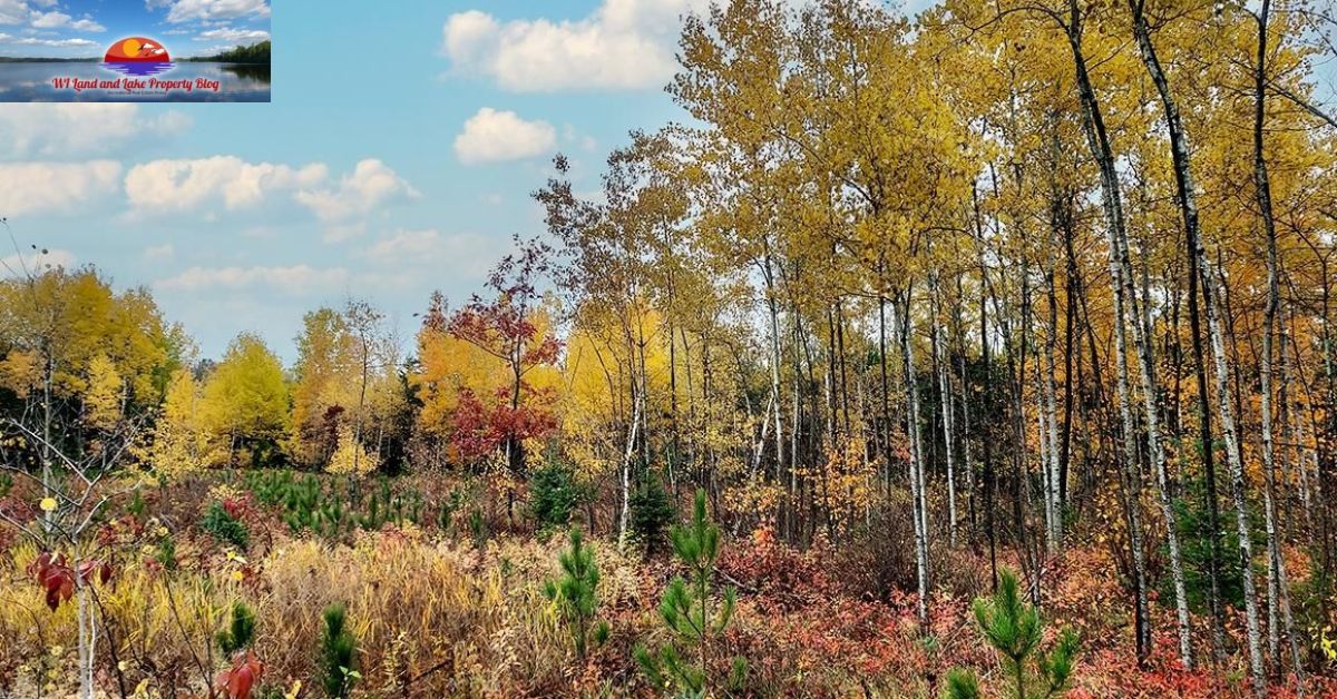 Spooner, WI Wooded Property for Sale! Priced at $52,900!