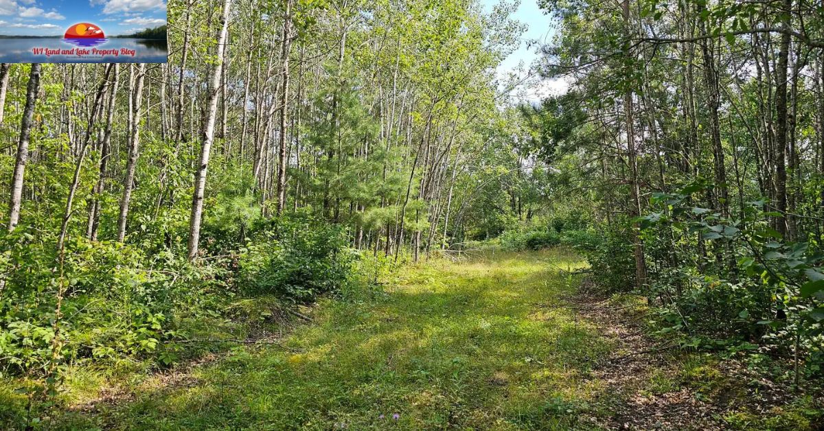 Experience the Beauty of Spooner, WI