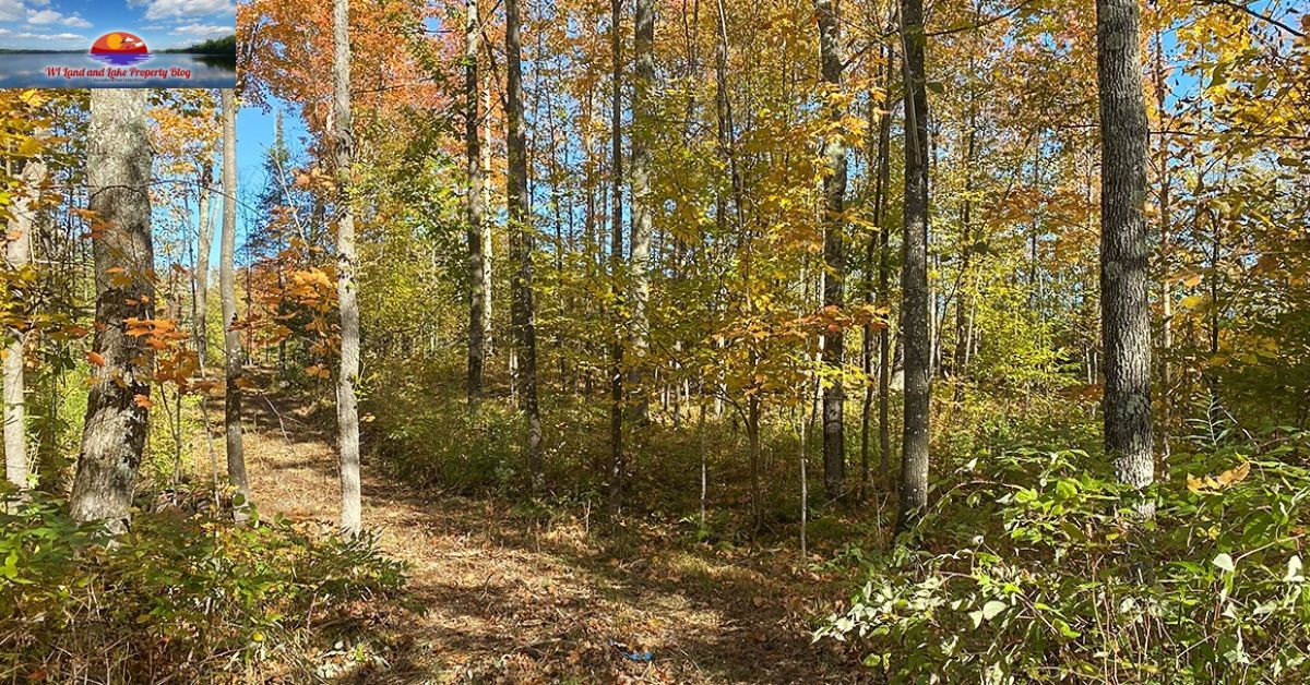 10-Acre Buildable Land in Ashland County, WI – Hunt, Camp, or Build!