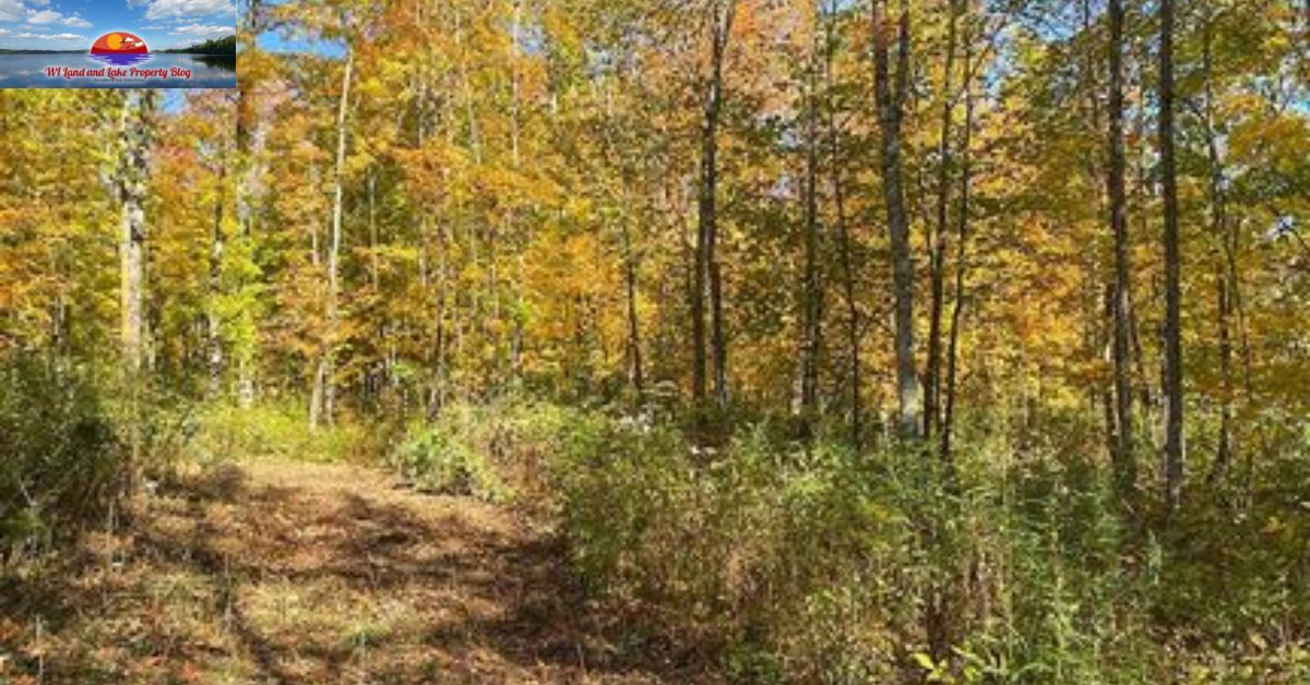 10-Acre Buildable Land in Ashland County, WI – A Great Spot for Hunting, Camping, and Your Dream Cabin