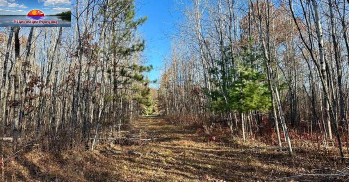 Own 15 Acres of Beautiful Wisconsin Land for Just $65,900!