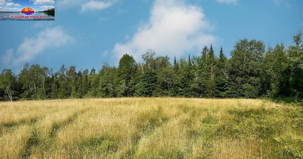 10-Acre Buildable Land in Ashland County, WI – A Hidden Gem for Outdoor Enthusiasts