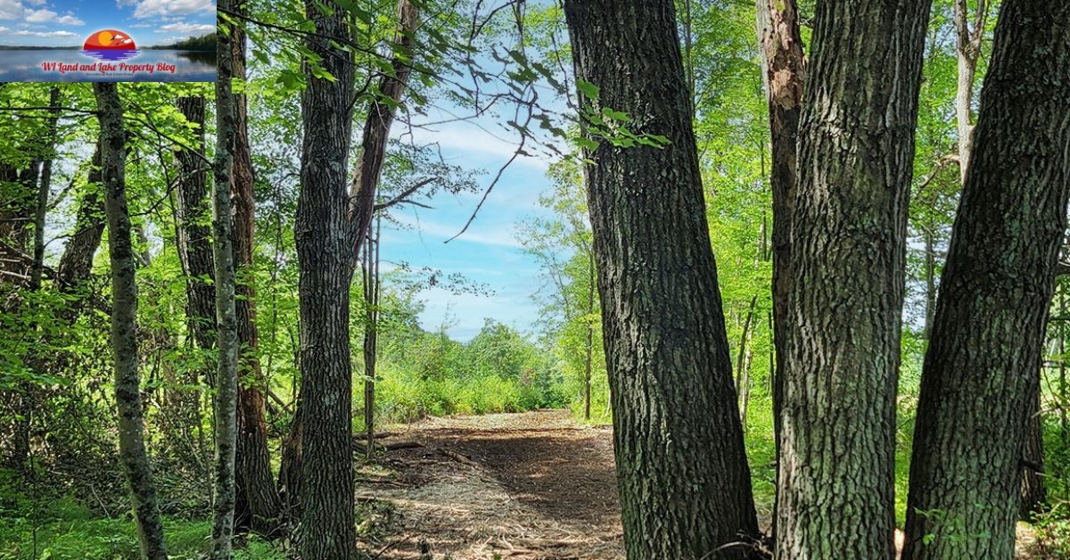 9.3-Acre Wooded Paradise – A Dream Escape Near Twin Cities