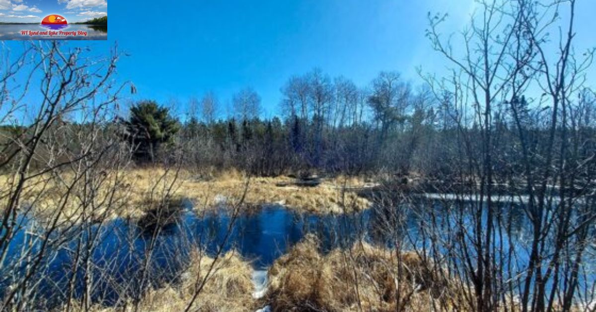 Smart Investment Opportunity: 15 Acres Land for Sale in Northwestern, WI! – $65,900!