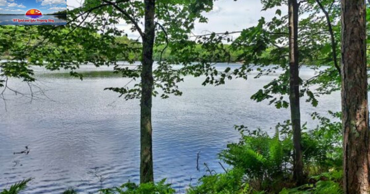 A Life I Didn't Know I Needed: 15 Acres Land for Sale in Northwestern, WI! – $65,900!