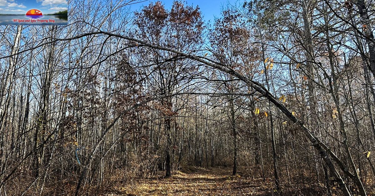 Discover Your Dream Land: 5 Wooded Acres in Springbrook, WI