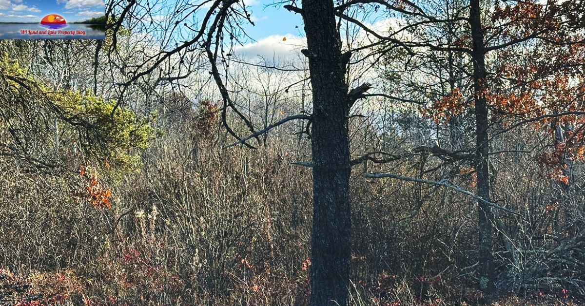 Discovering My Dream Land: 5 Wooded Acres in Springbrook, WI for Just $47,900