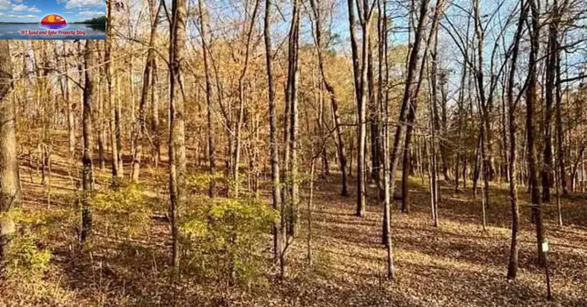Finding My Dream Land: 5 Wooded Acres for Sale in Springbrook, WI for $47,900