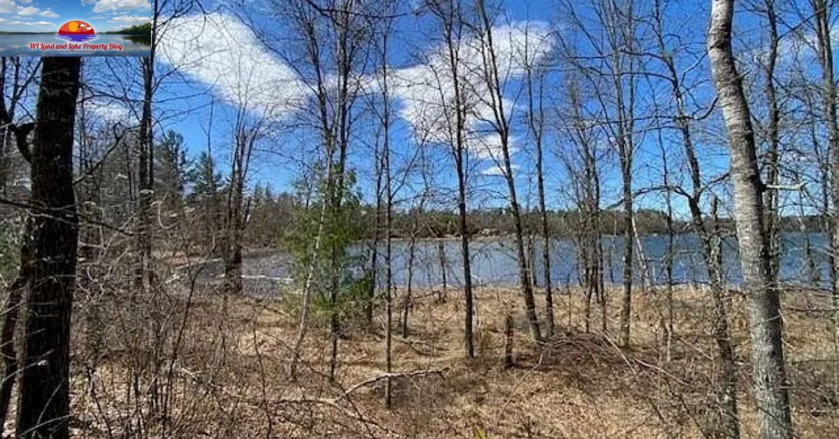 Living the Dream: How I Found 5 Wooded Acres for Sale in Springbrook, WI for $47,900
