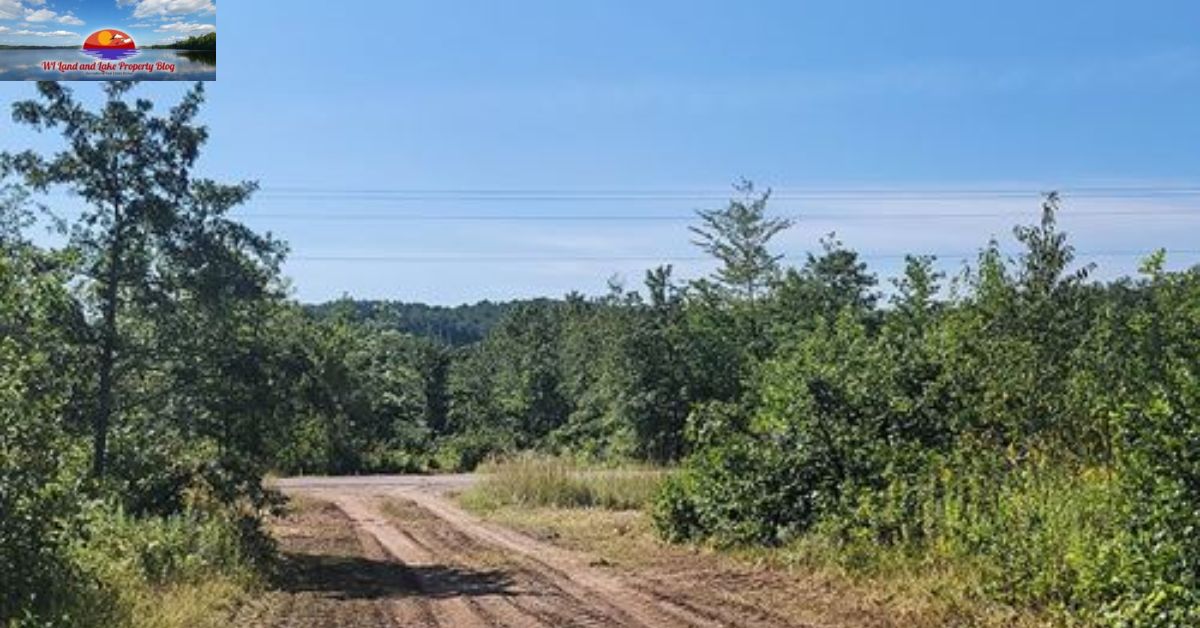 Smart Investment, Peaceful Retirement: My Journey to a 9.3-Acre Wooded Paradise Just 75 Minutes from the Twin Cities