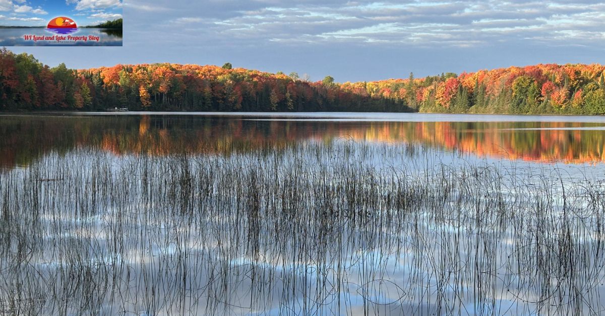 Spacious 15 Acres of Land for Sale in Northwestern, WI – Only $65,900!