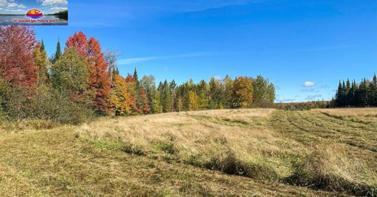Your Guide to Owning 15 Acres in Northwestern Wisconsin for Just $65,900