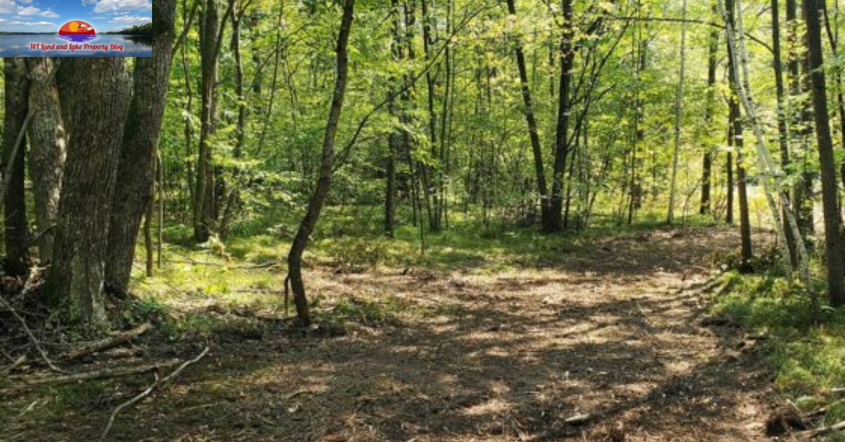 Discover Your Dream Land: 5 Wooded Acres in Springbrook, WI