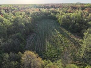 Northern Wisconsin Land for Sale: Why More Buyers Are Investing in Wisconsin’s Northwoods in 2026