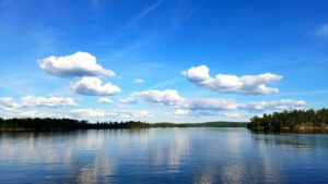 5 Acres of Land for Sale in Northern Wisconsin: Find Your Private Northwoods Retreat