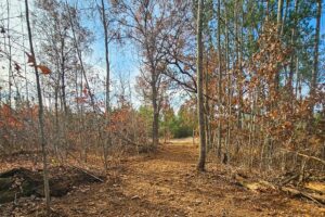 Northern WI Land for Sale – Wooded 5 Acres Near Lakes, Trails & Public Land