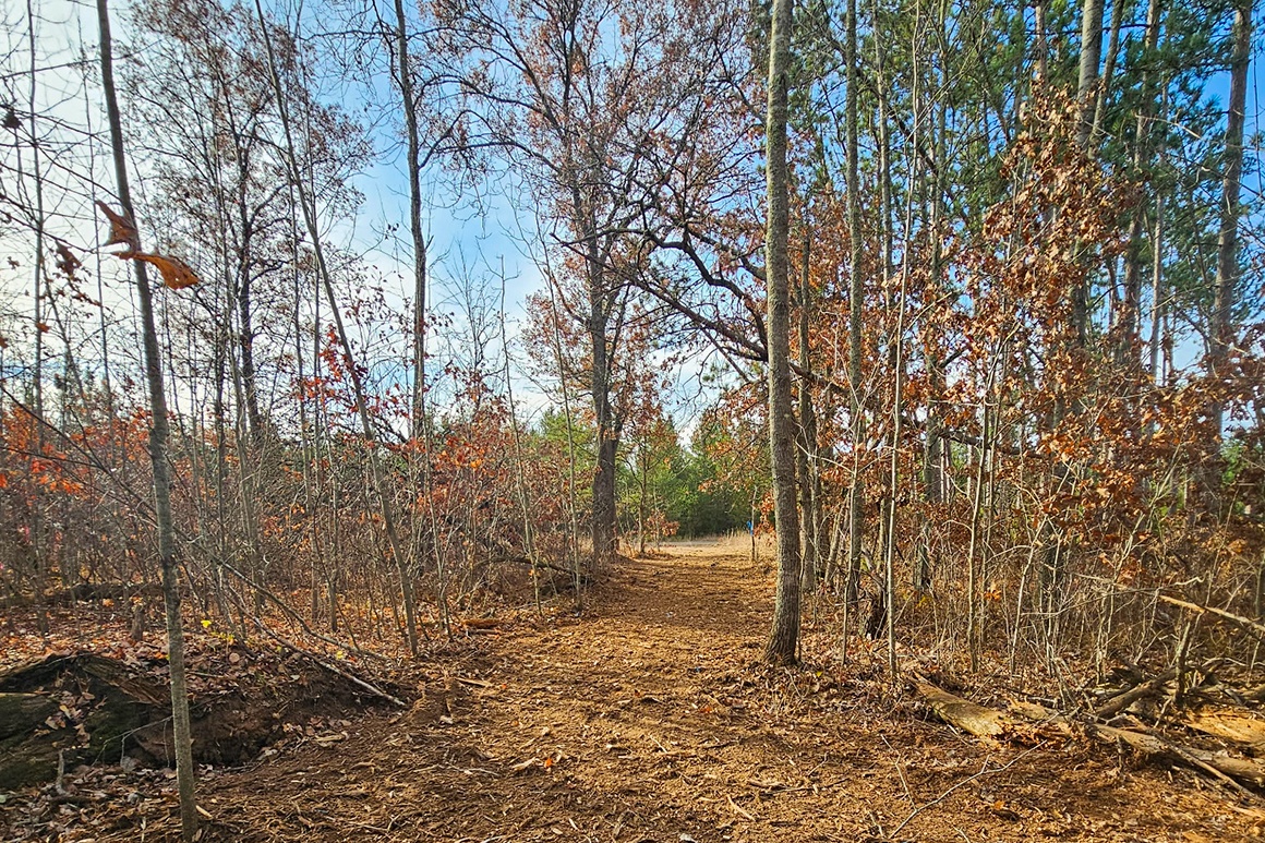 Buildable Northwoods Getaway