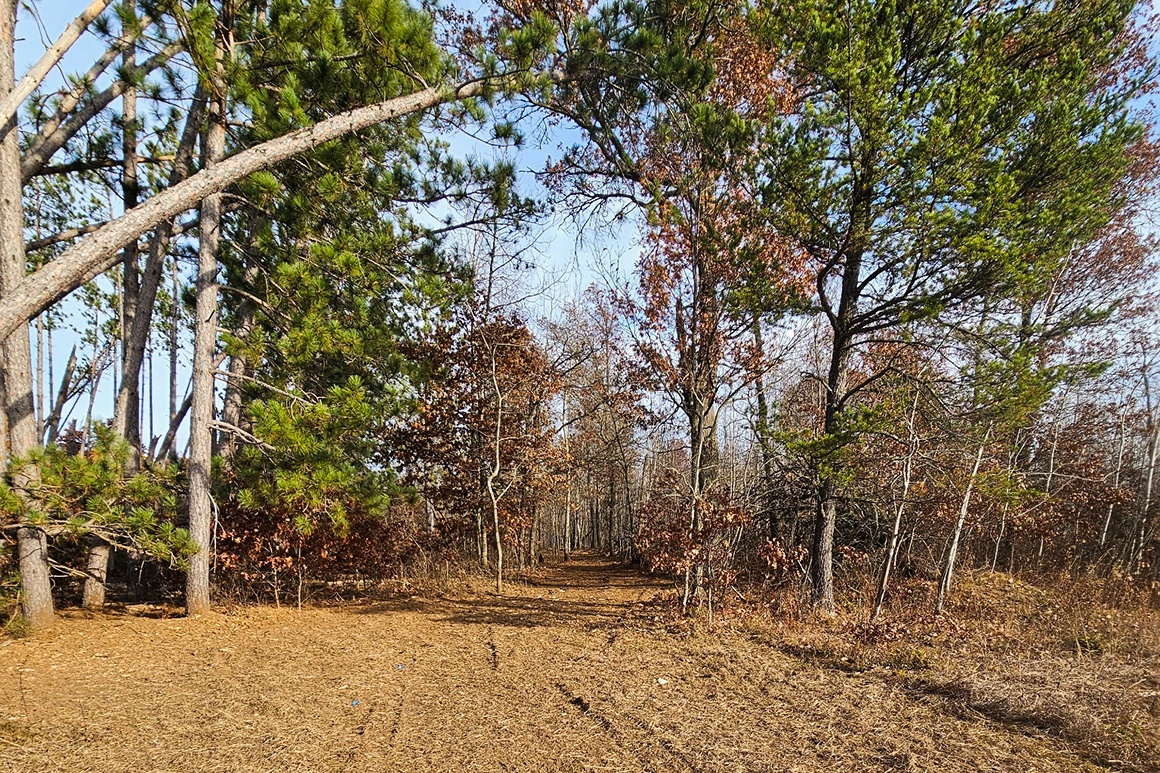 buildable land for sale near Webster, WI