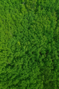 MENOMINEE & PIKE RIVERS!