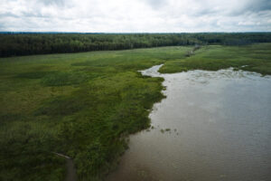 Wisconsin Northwoods Land Sale – Beautiful 10 Acre Properties Near Tomahawk
